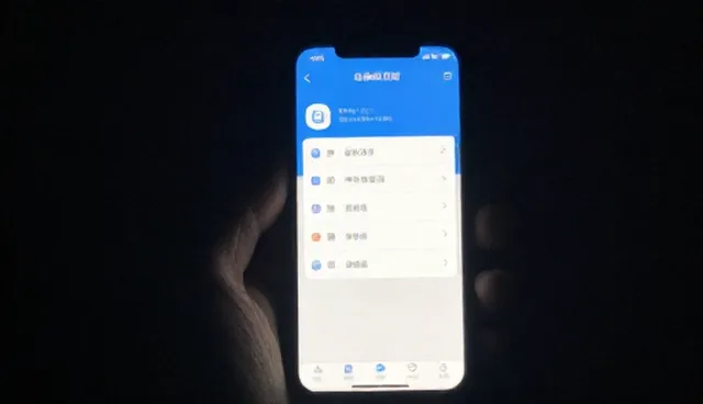 域名管理中APP开发的优化适用情况与限制