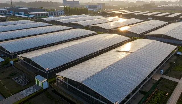 信息保护：技术外包中的数据安全使用与维护建议