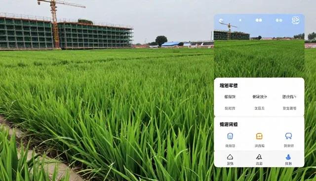 施工项目管理中处理方法的选型关注点分析