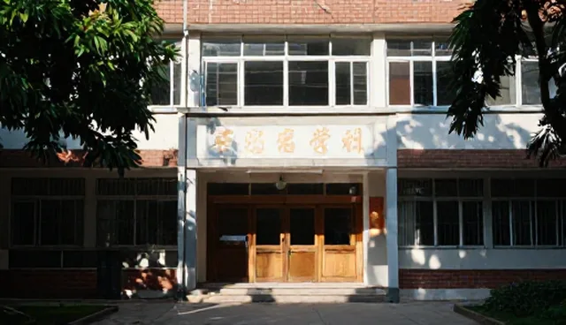 技术培训服务是否等同于安装调试服务？