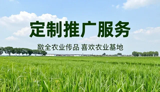 如何高效利用发布入口提升推广效果