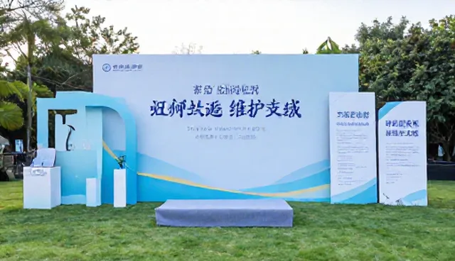 活动策划中会议组织的适用情况与限制分析