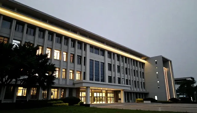 财税咨询如何助力企业能力提升
