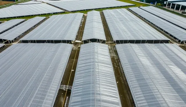 如何有效管理慢性病？健康管理需注意哪些问题？