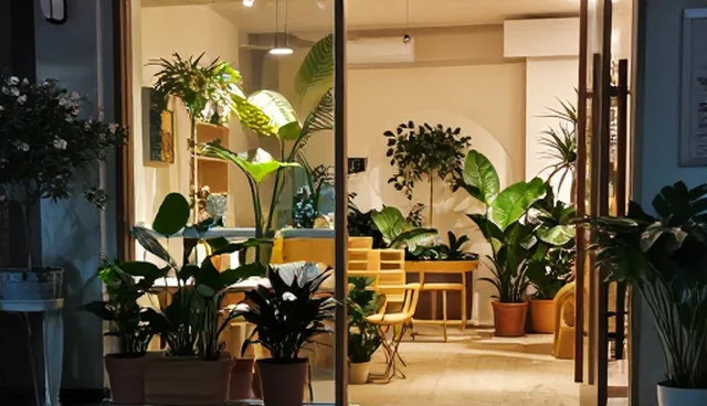 地区服务器网络稳定性在关键业务场景中的应用分析