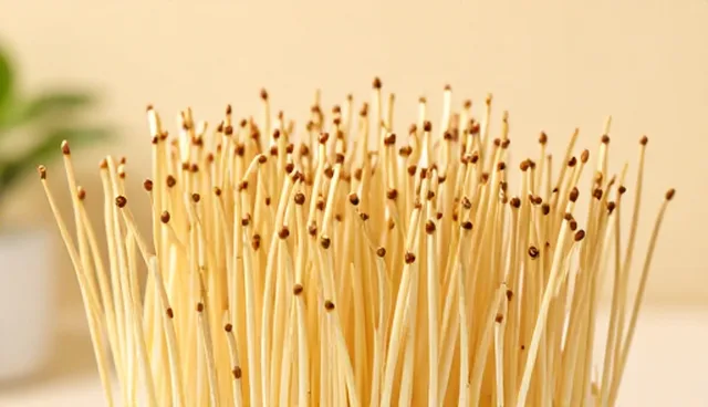 性能分析在园林绿化业务中的价值与发展趋势