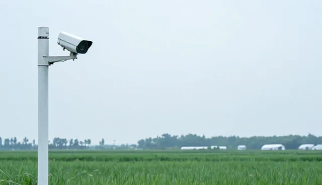 安全技术选型中的关键考量要素分析