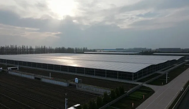 运维效率提升如何依赖自动化方案的实施