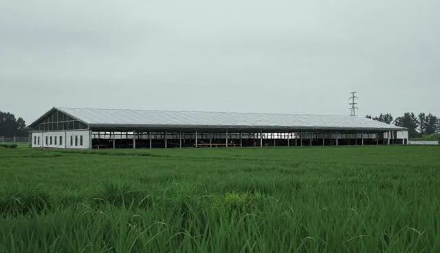 黄金寨原生态旅游区线路策划的用户体验优化策略