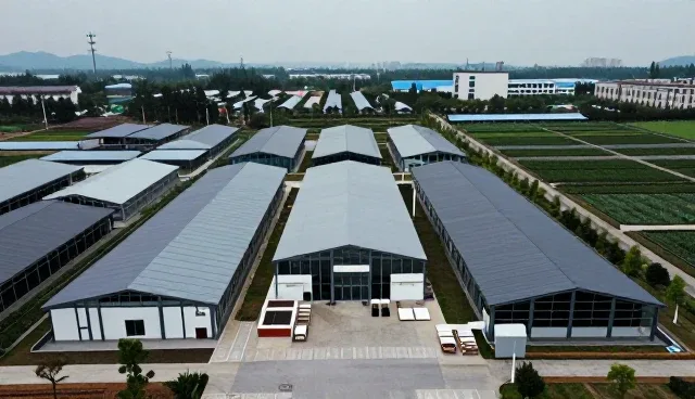 软装搭配在不同空间场景中的应用分析