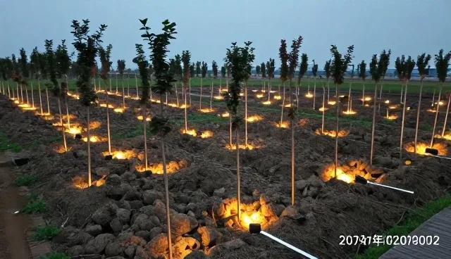 基地合作中的使用与维护建议，适用情况与限制分析