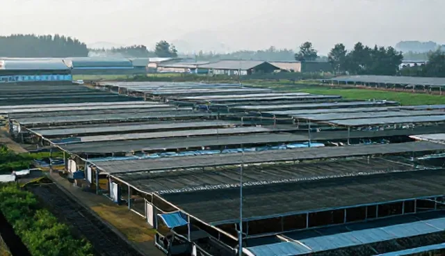 商务信息咨询场景中应用场景检查的五要点
