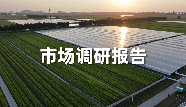 市场调研工具在法律行业中的性能表现与应用