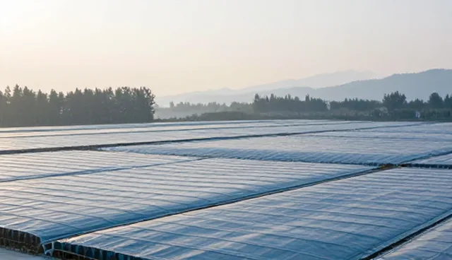 技术服务选型关注点及合理使用建议
