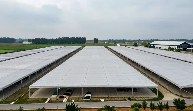 流程优化选型中的关键考量因素解析