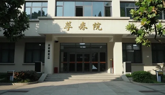 视频剪辑内容优化的适用情况与限制