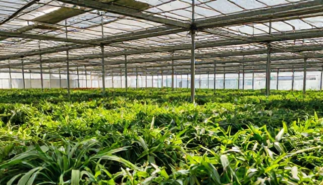商贸品牌在多场景下的应用策略与发展趋势
