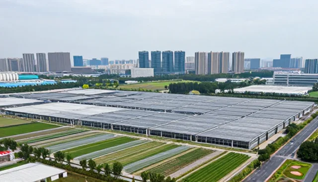 技术外包服务中业务需求的匹配与应对策略