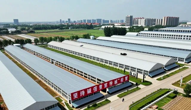 电商运营中食品饮料组合的性能问题与解决方案