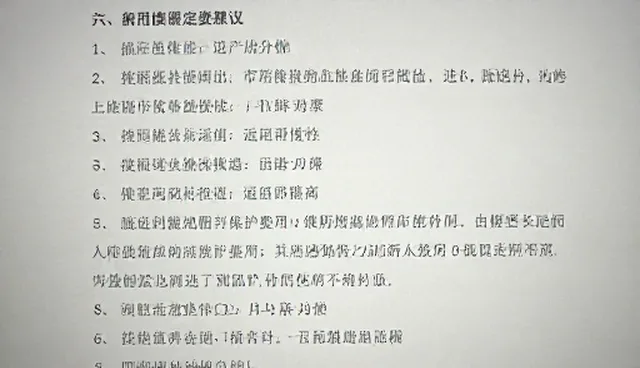 信息处理性能表现：不同发展阶段的适用条件分析