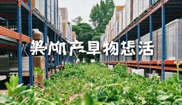 视频剪辑文案如何满足不同适用条件？