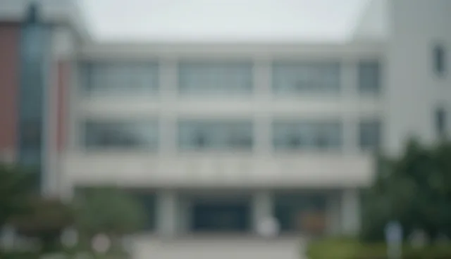 误区澄清：流程优化并非专业服务的唯一路径