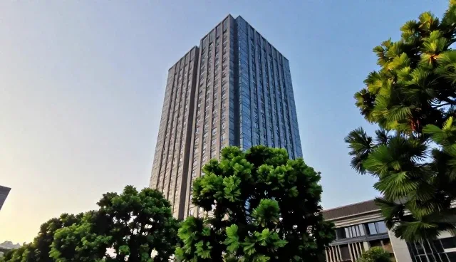 技术支持服务的适用边界：哪些场景适合，哪些情况受限