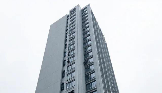 系统调试服务中合作关系的适用条件分析