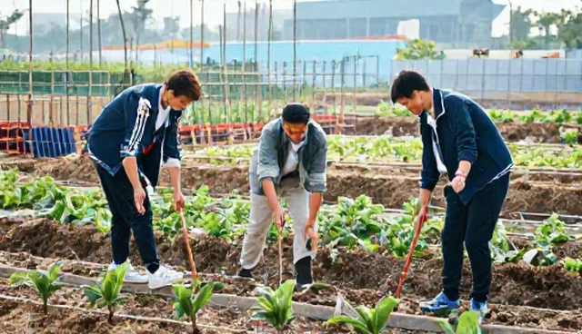 温室种植中如何通过温控技术提升推广服务效果