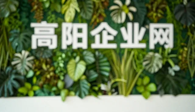 信息查询效率低如何提升，高阳企业网的优化建议