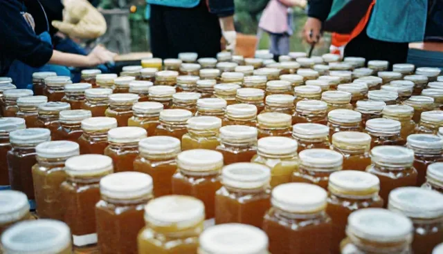 食品安全检查要点：健康食品生产与使用中的关键问题