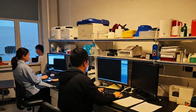 品牌财税咨询：效率提升的选型关注点分析