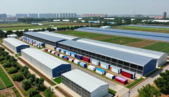 技术驱动下的区域发展：方案设计在实际场景中的应用