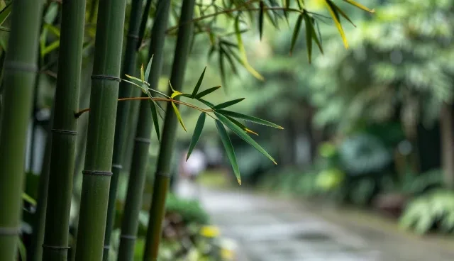 选型关注点如何影响服务交付效率
