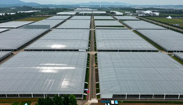 佛山专业网站设计公司：信息发布与企业信息查询服务的融合实践