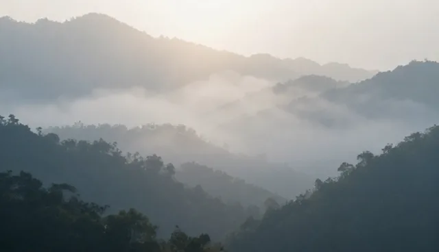 运输配送场景中的实际应用与维护建议