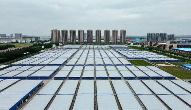 供求发布平台在数字化转型中的性能表现与适用场景分析