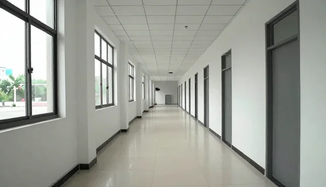 传播质量驱动短视频内容创新，推动行业高质量发展