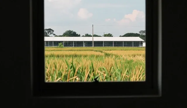 健康咨询如何应对用户信息不全问题，提升服务效率