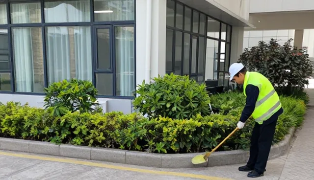 绿化养护服务选型关注点及使用维护建议