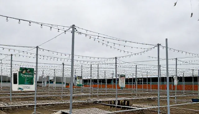 农产品基地合作如何提升实施效果？