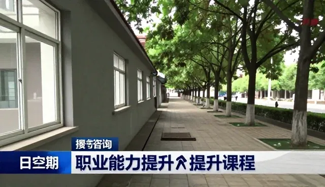 构建高效学习支持体系的关键策略