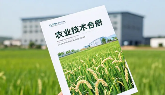 5个检查要点助力团队形成自身特色
