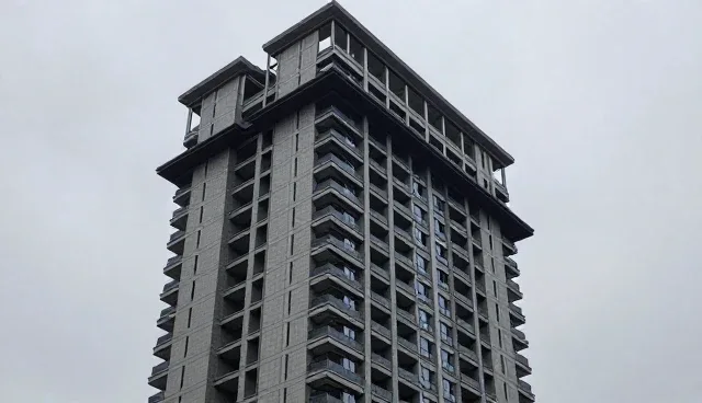 系统集成中的软件研发：如何匹配不同场景需求