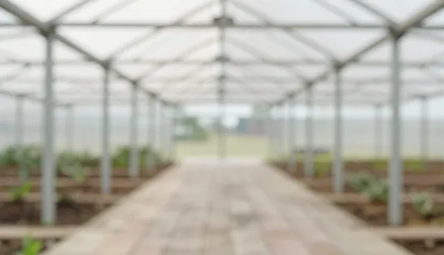 企业建站网站定制：如何通过网站开发实现业务增长
