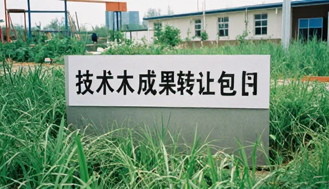创新应用中交付质量对技术转让性能的关键影响