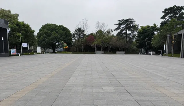 短视频推广效果不佳？如何优化媒介投放方案