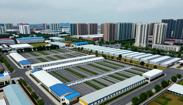 技术落地过程中的常见问题及应对策略
