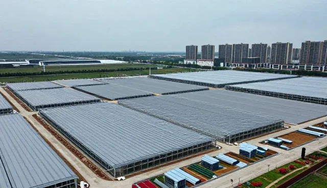 定制金属框架选型中的业务发展趋势与关注重点