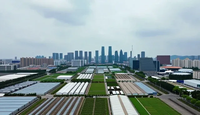 技术开发中的选型关注点与业务趋势洞察